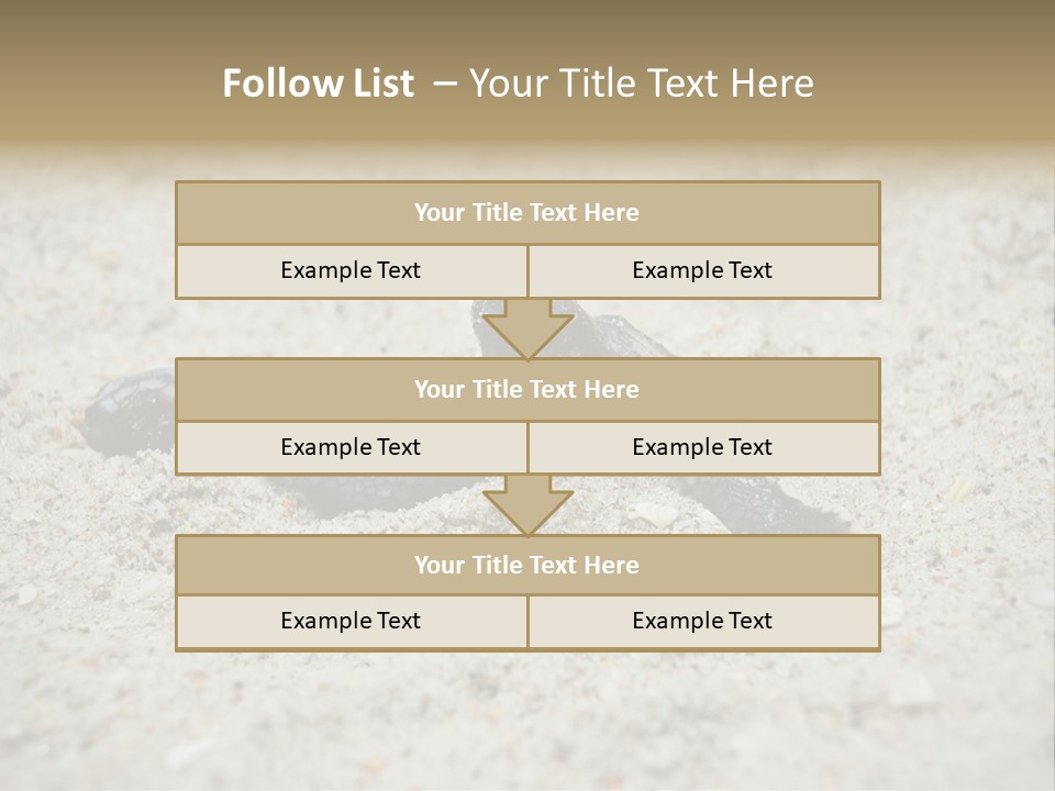 Beach Sea Turtle Sea Turtle Facts PowerPoint Template