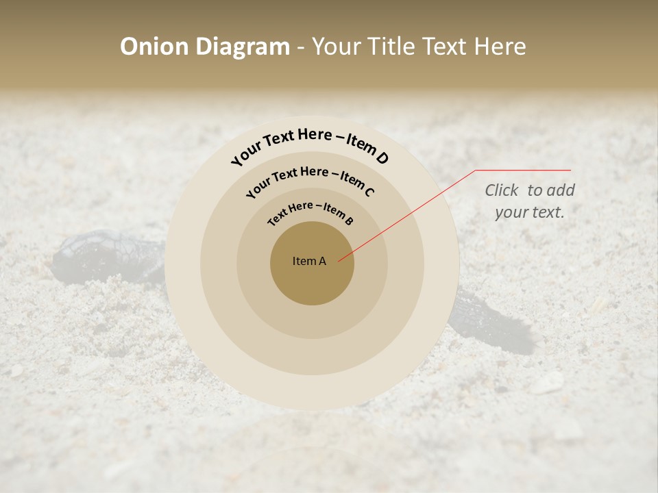 Beach Sea Turtle Sea Turtle Facts PowerPoint Template