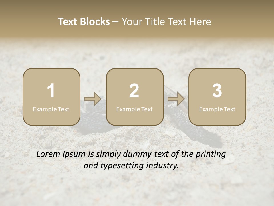 Beach Sea Turtle Sea Turtle Facts PowerPoint Template