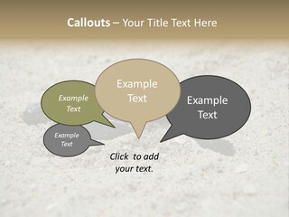 Beach Sea Turtle Sea Turtle Facts PowerPoint Template