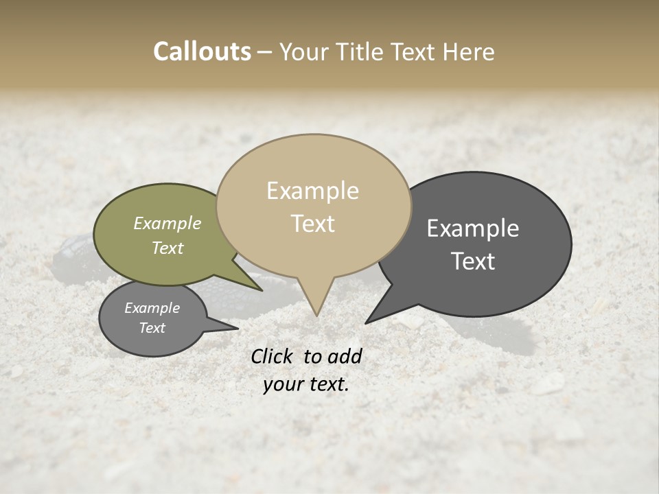 Beach Sea Turtle Sea Turtle Facts PowerPoint Template