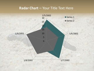 Beach Sea Turtle Sea Turtle Facts PowerPoint Template