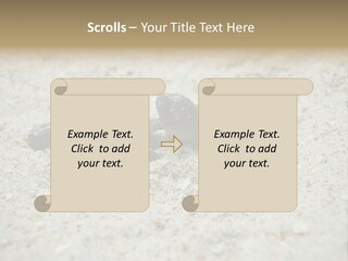 Beach Sea Turtle Sea Turtle Facts PowerPoint Template