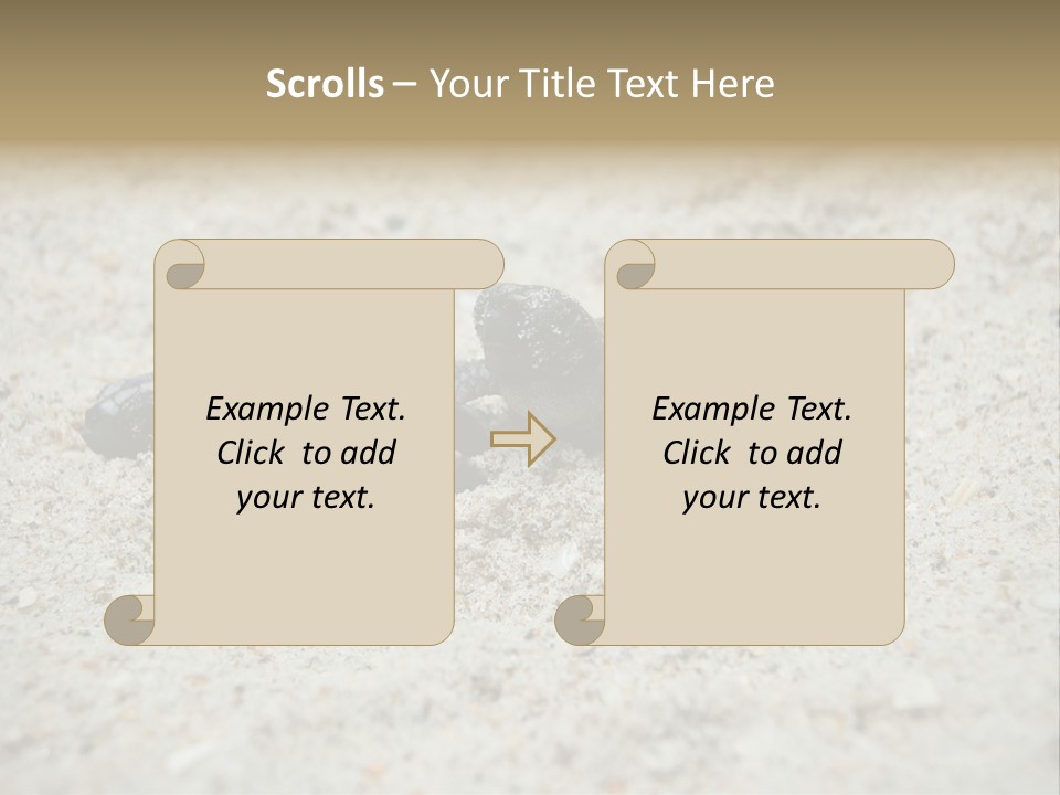 Beach Sea Turtle Sea Turtle Facts PowerPoint Template