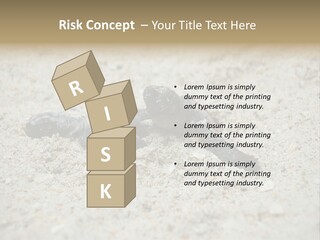 Beach Sea Turtle Sea Turtle Facts PowerPoint Template