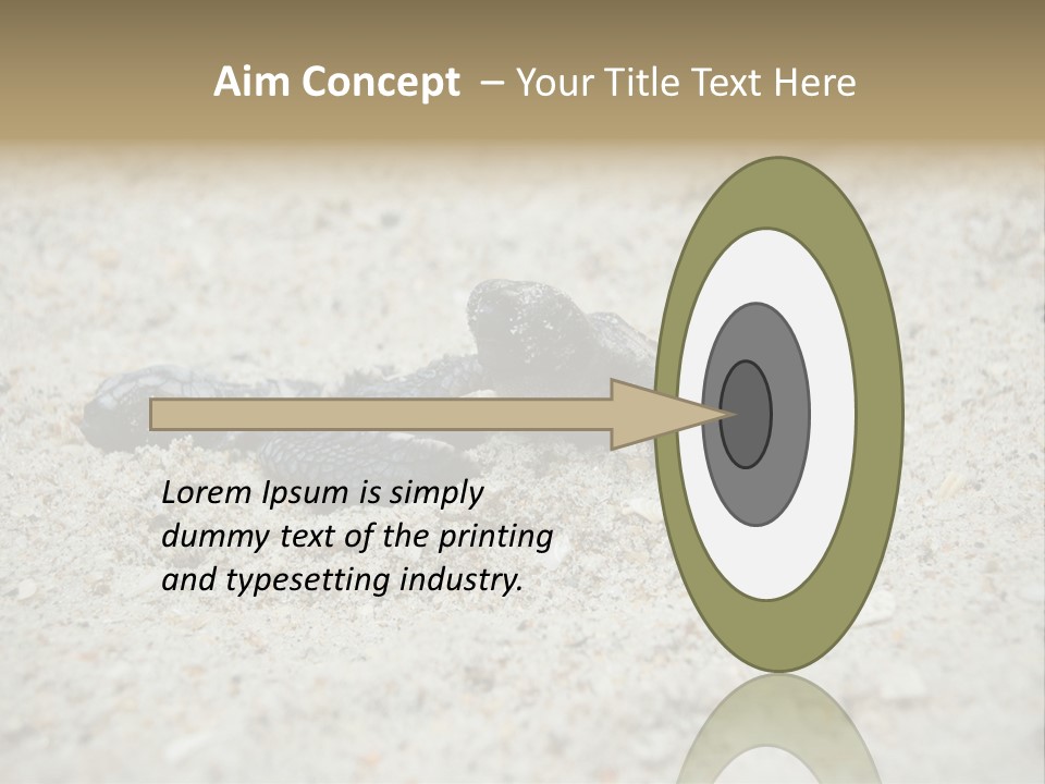 Beach Sea Turtle Sea Turtle Facts PowerPoint Template