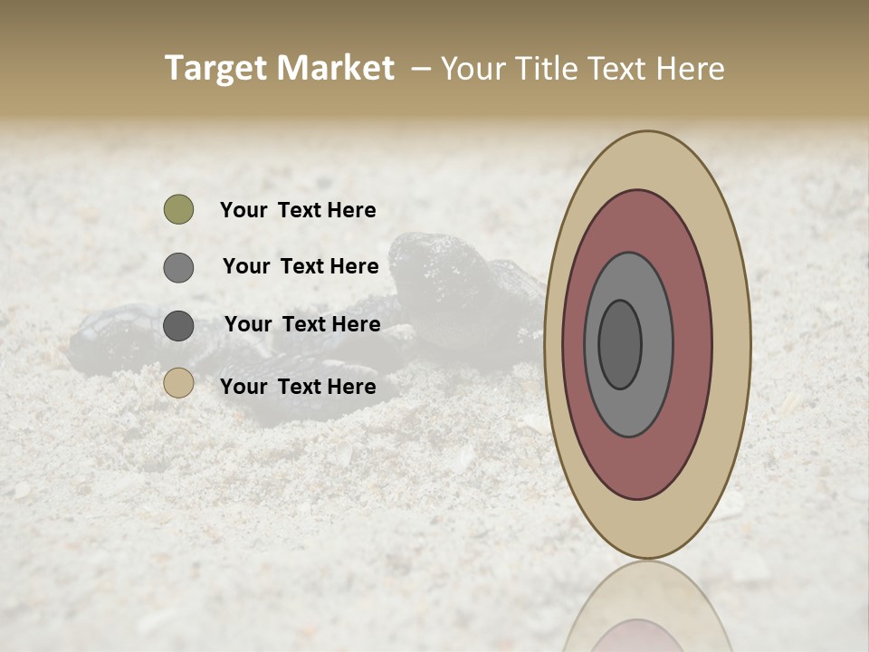 Beach Sea Turtle Sea Turtle Facts PowerPoint Template