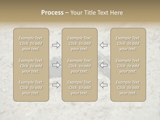 Beach Sea Turtle Sea Turtle Facts PowerPoint Template