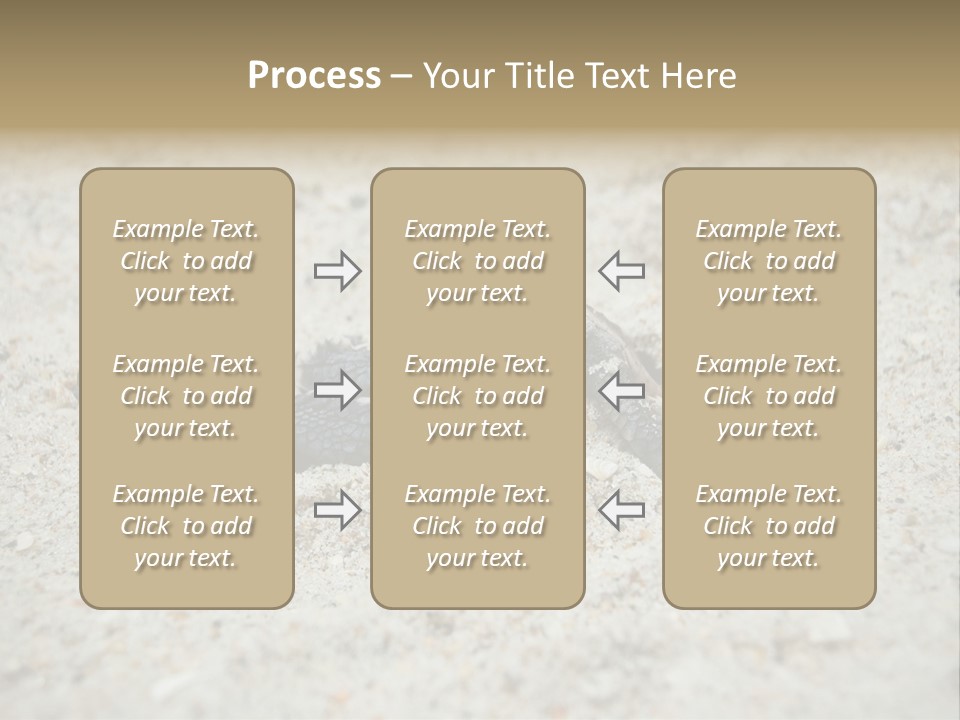 Beach Sea Turtle Sea Turtle Facts PowerPoint Template
