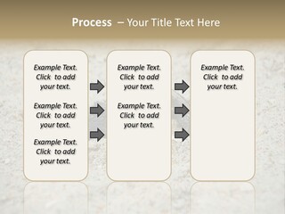 Beach Sea Turtle Sea Turtle Facts PowerPoint Template
