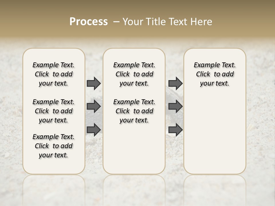 Beach Sea Turtle Sea Turtle Facts PowerPoint Template