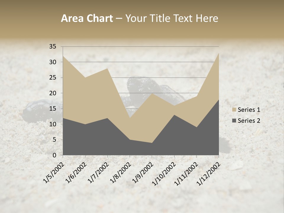 Beach Sea Turtle Sea Turtle Facts PowerPoint Template