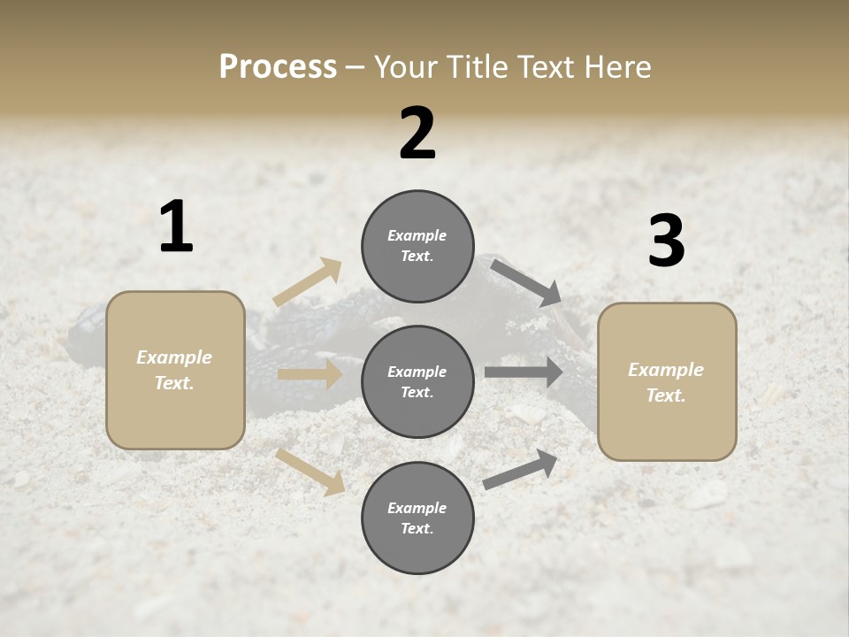 Beach Sea Turtle Sea Turtle Facts PowerPoint Template