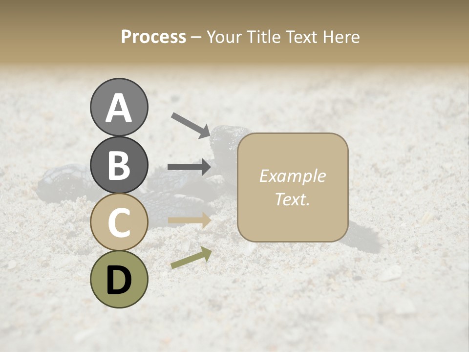 Beach Sea Turtle Sea Turtle Facts PowerPoint Template