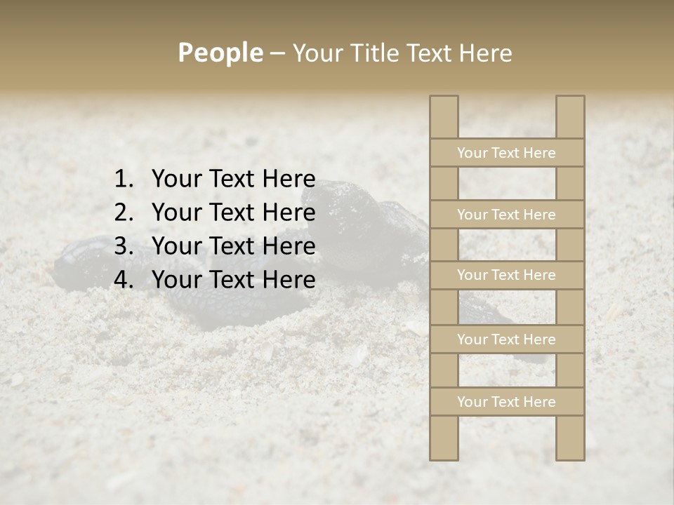 Beach Sea Turtle Sea Turtle Facts PowerPoint Template