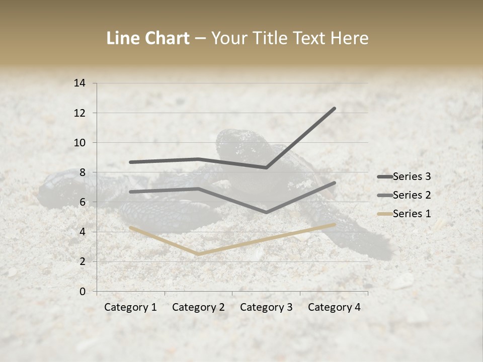 Beach Sea Turtle Sea Turtle Facts PowerPoint Template