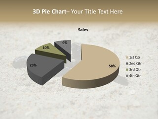 Beach Sea Turtle Sea Turtle Facts PowerPoint Template