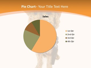 Cowboy Guarding Canine PowerPoint Template