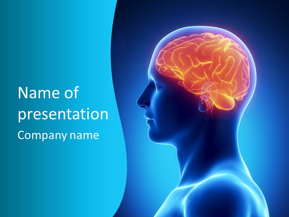 Cranium Health Muscular PowerPoint Template