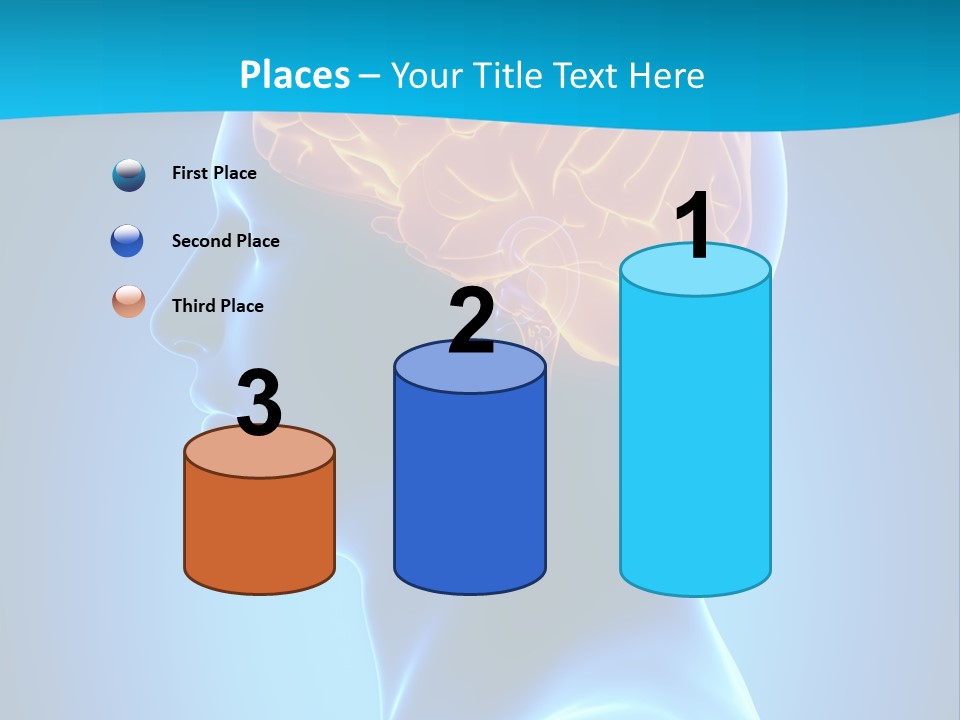 Cranium Health Muscular PowerPoint Template