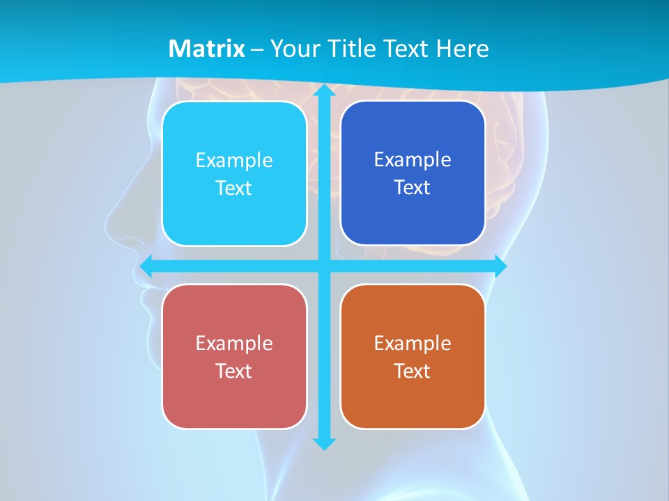 Cranium Health Muscular PowerPoint Template