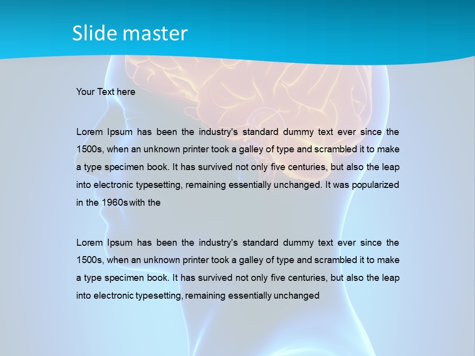 Cranium Health Muscular PowerPoint Template
