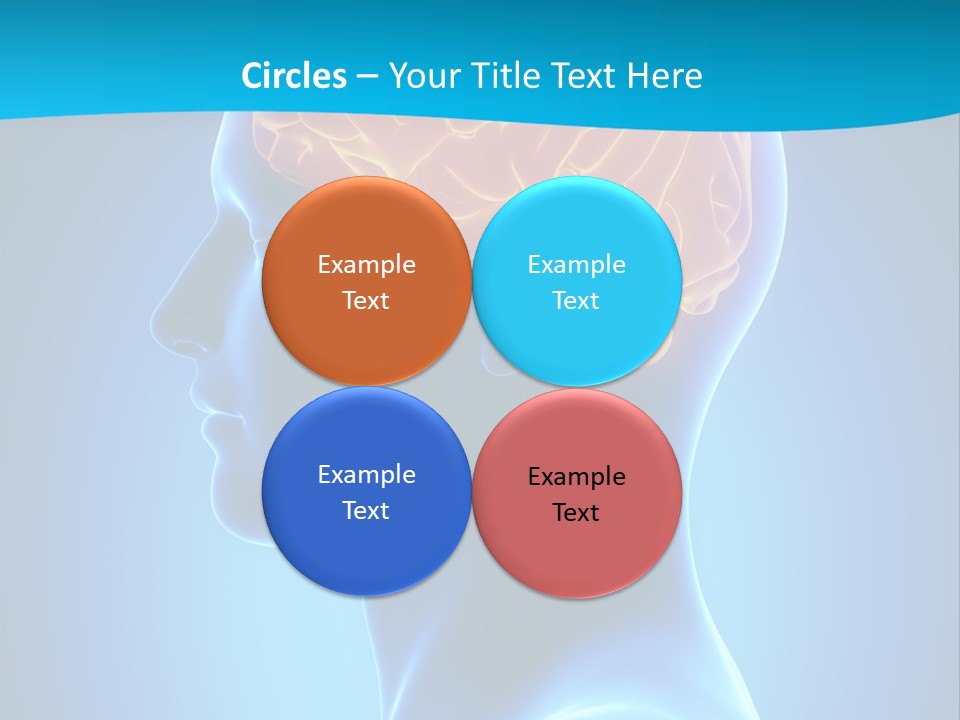 Cranium Health Muscular PowerPoint Template