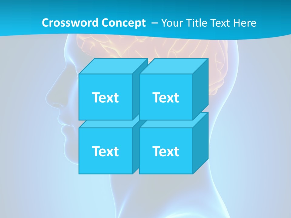 Cranium Health Muscular PowerPoint Template
