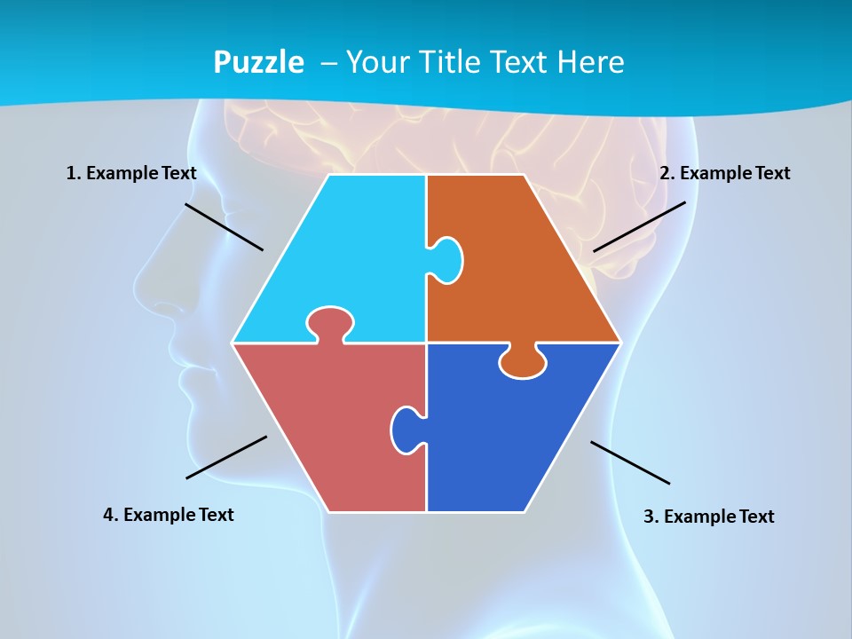 Cranium Health Muscular PowerPoint Template