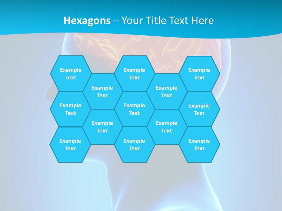 Cranium Health Muscular PowerPoint Template