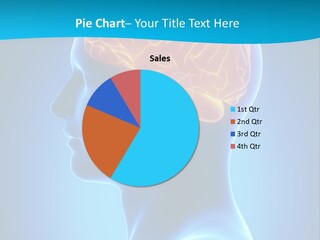 Cranium Health Muscular PowerPoint Template