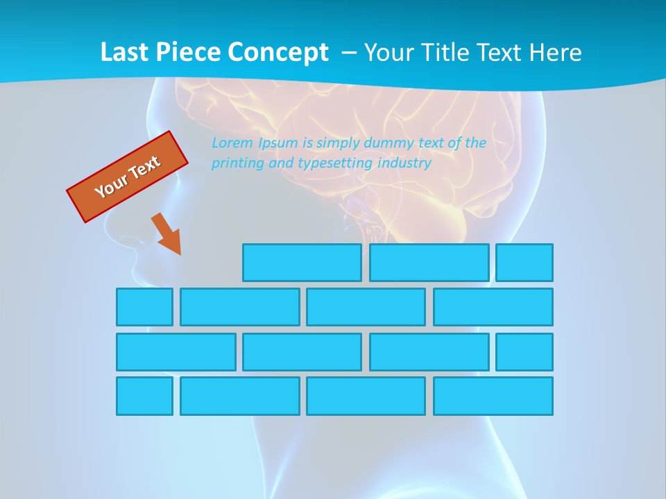 Cranium Health Muscular PowerPoint Template