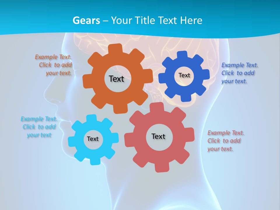 Cranium Health Muscular PowerPoint Template