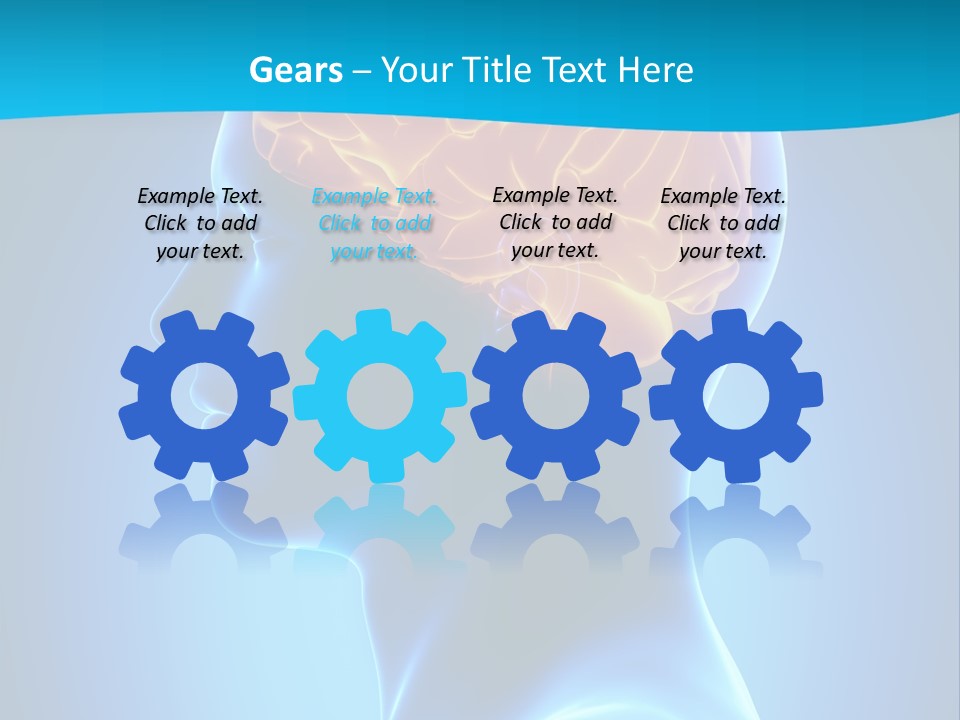 Cranium Health Muscular PowerPoint Template