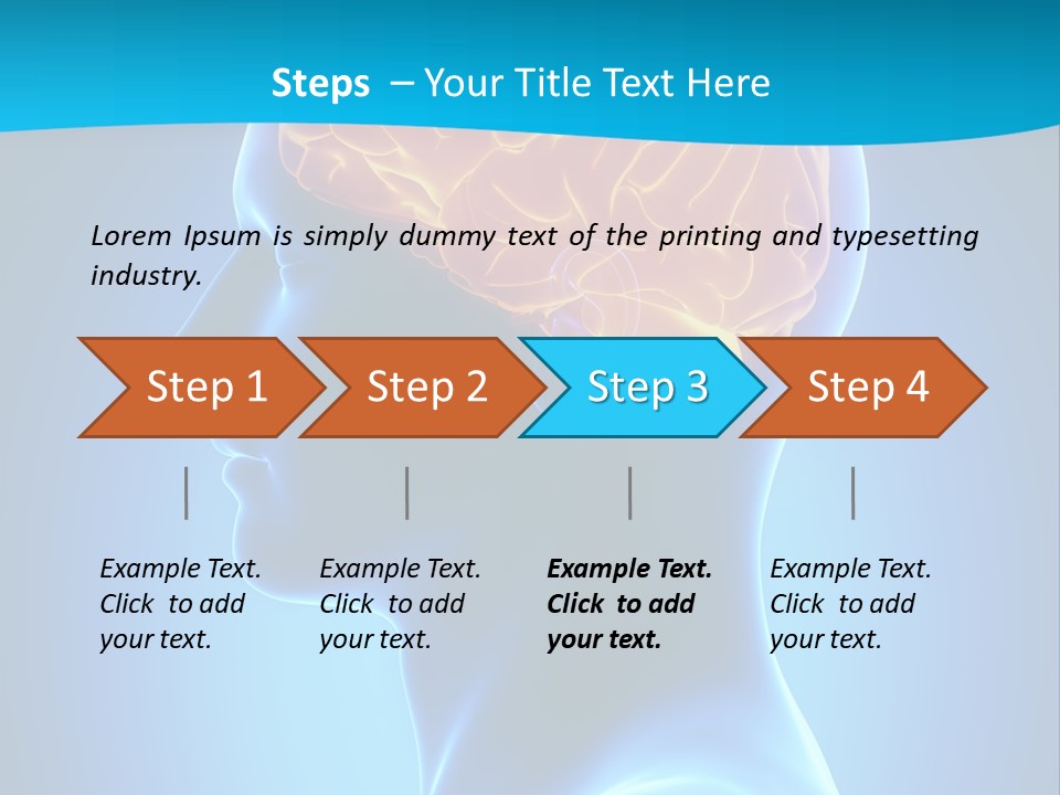 Cranium Health Muscular PowerPoint Template