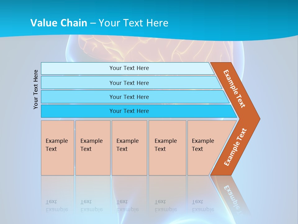 Cranium Health Muscular PowerPoint Template
