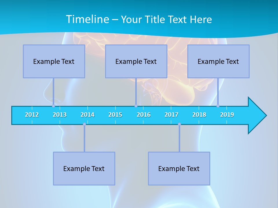 Cranium Health Muscular PowerPoint Template