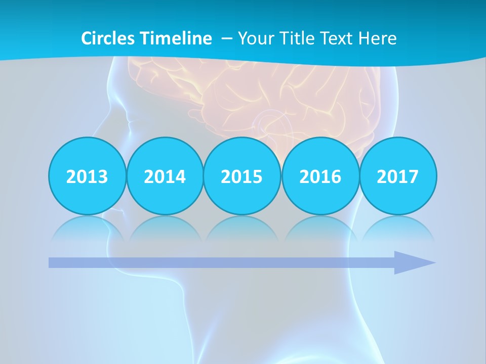 Cranium Health Muscular PowerPoint Template