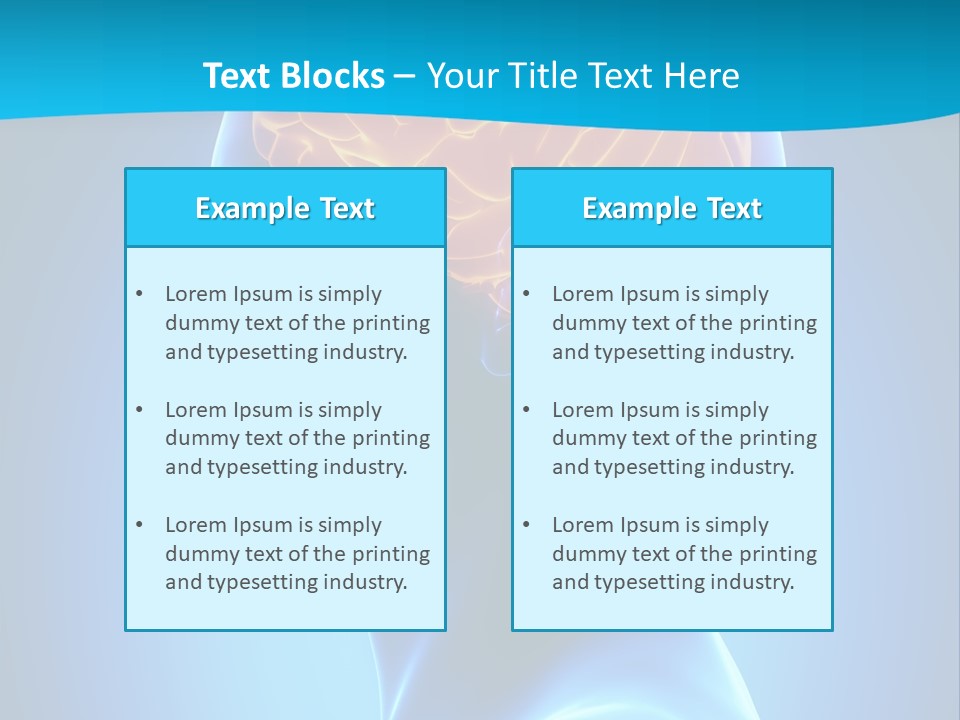 Cranium Health Muscular PowerPoint Template