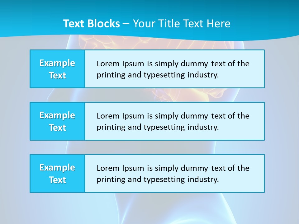 Cranium Health Muscular PowerPoint Template