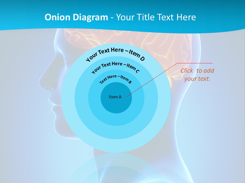 Cranium Health Muscular PowerPoint Template