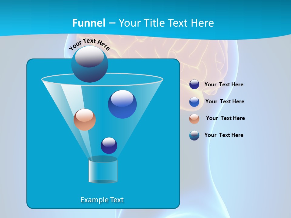 Cranium Health Muscular PowerPoint Template