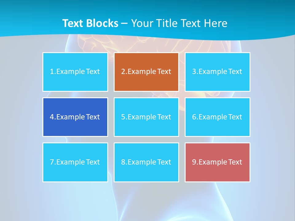 Cranium Health Muscular PowerPoint Template