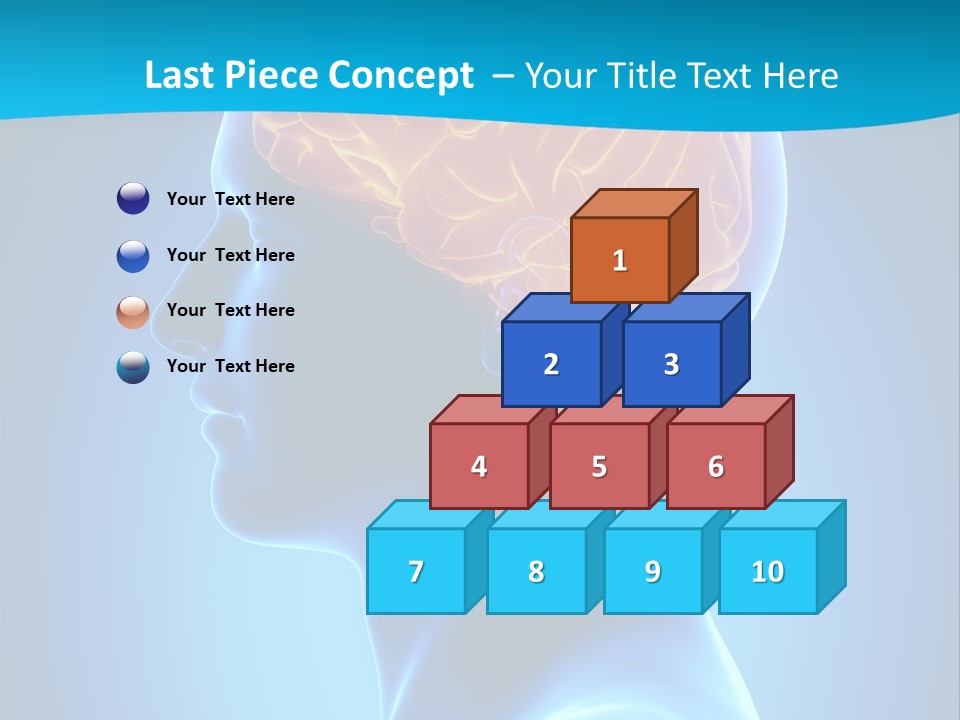 Cranium Health Muscular PowerPoint Template