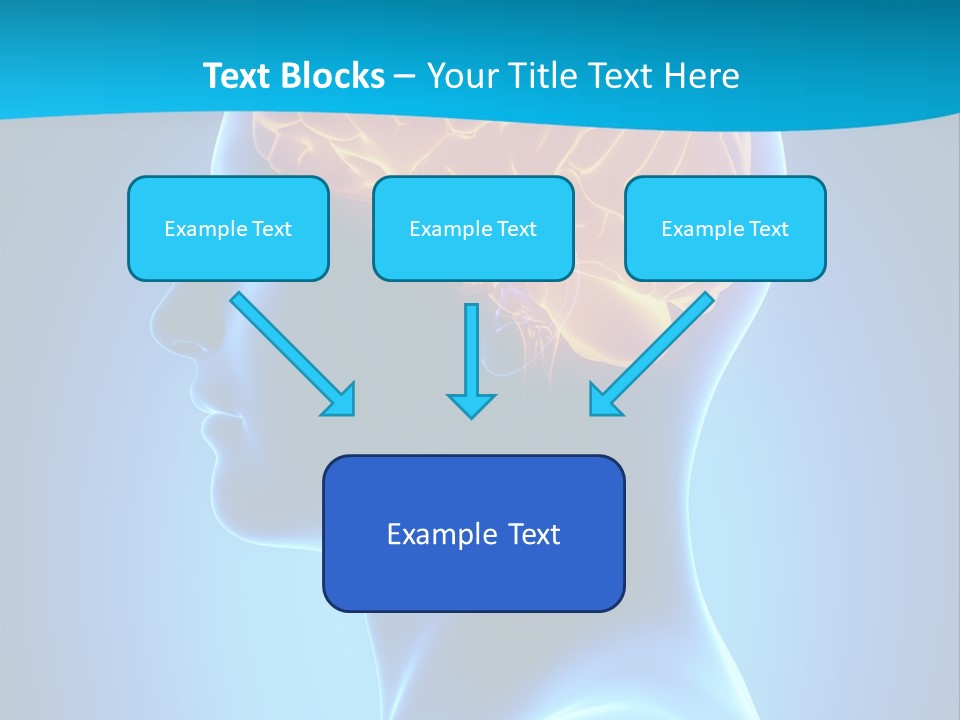 Cranium Health Muscular PowerPoint Template