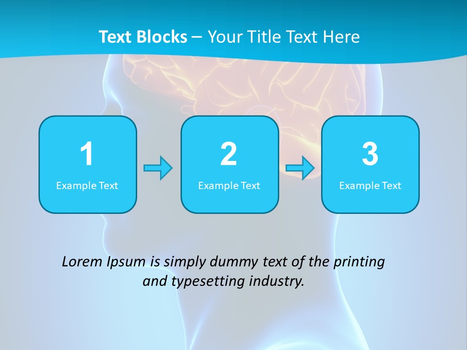 Cranium Health Muscular PowerPoint Template