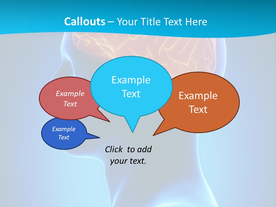Cranium Health Muscular PowerPoint Template