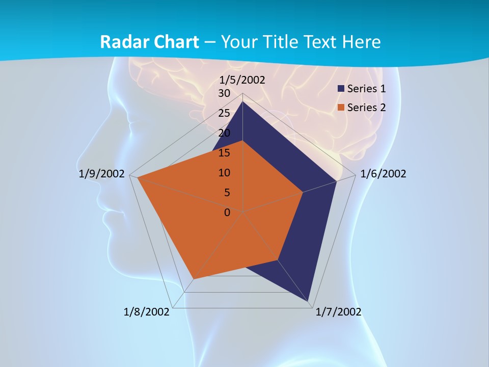 Cranium Health Muscular PowerPoint Template