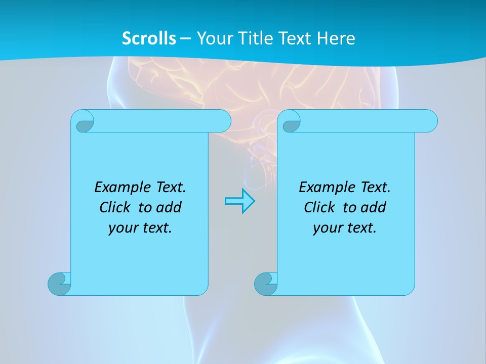 Cranium Health Muscular PowerPoint Template