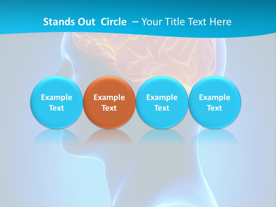 Cranium Health Muscular PowerPoint Template